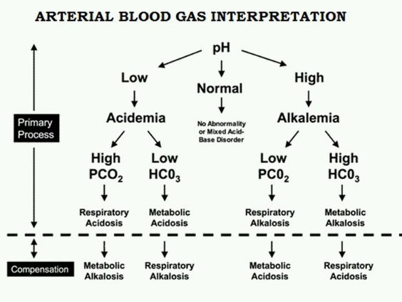 Arterial Blood Gases